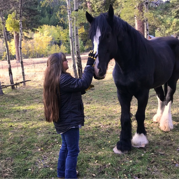 Meet your Posher, Dani - Picture 1 of 2